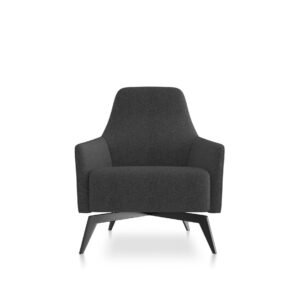 Anza Lounge Chair by Friant
