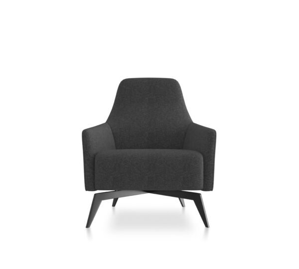 Anza Lounge Chair by Friant