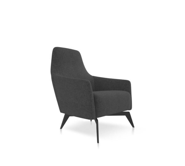 Anza Lounge Chair by Friant - Image 2