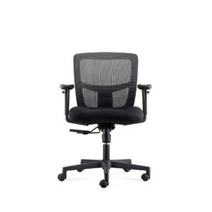 Zone Too Task Chair by Friant